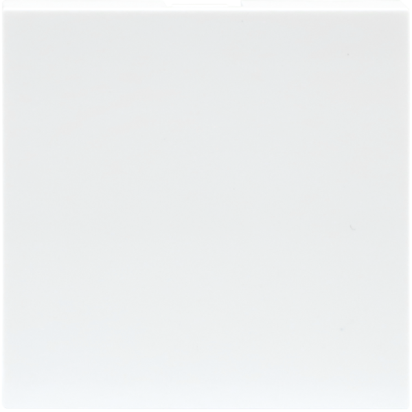 Заглушка 2 мод.,  бел. матовая (45х45мм)