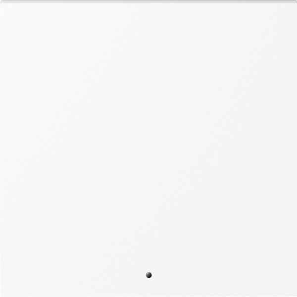 Клавиша 1-я с подсветкой,  глянцевый белый,  серия A07