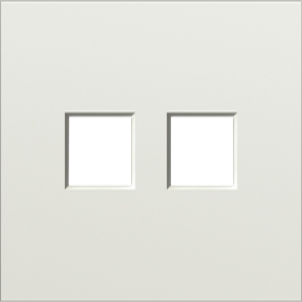 Накладка 2-я для розеток RJ45, TV, SAT,  шампань,  серия S08