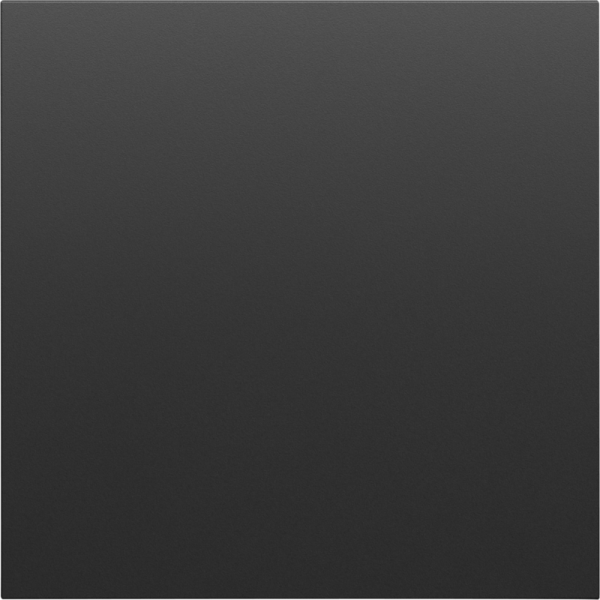 Заглушка,  черный графит,  серия S08