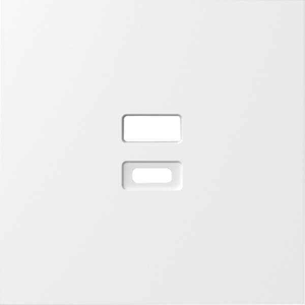 Накладка для розеток USB,  матовый белый,  серия S08
