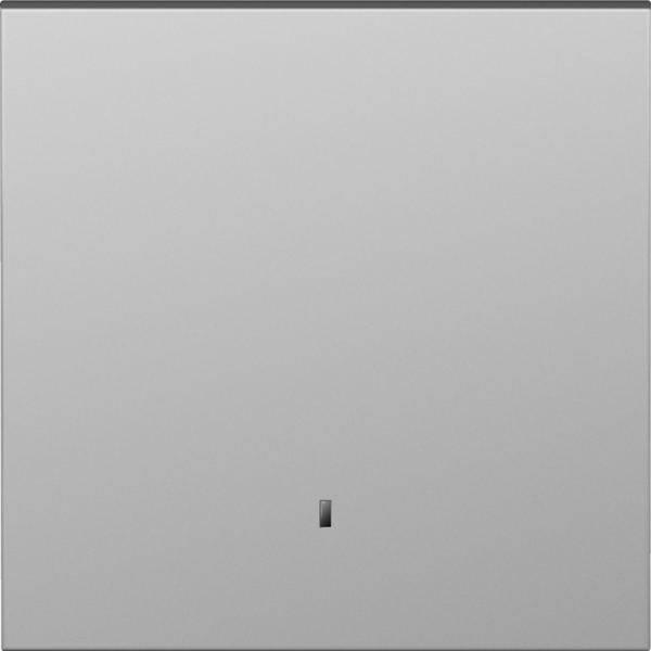 Клавиша 1-я с подсветкой,  сталь,  серия S08