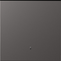 Клавиша 1-я с подсветкой,  матовый титан,  серия S08