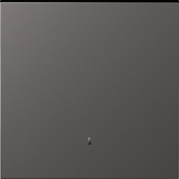 Клавиша 1-я с подсветкой,  матовый титан,  серия S08