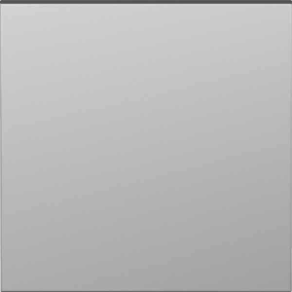 Клавиша 1-я,  сталь,  серия S08