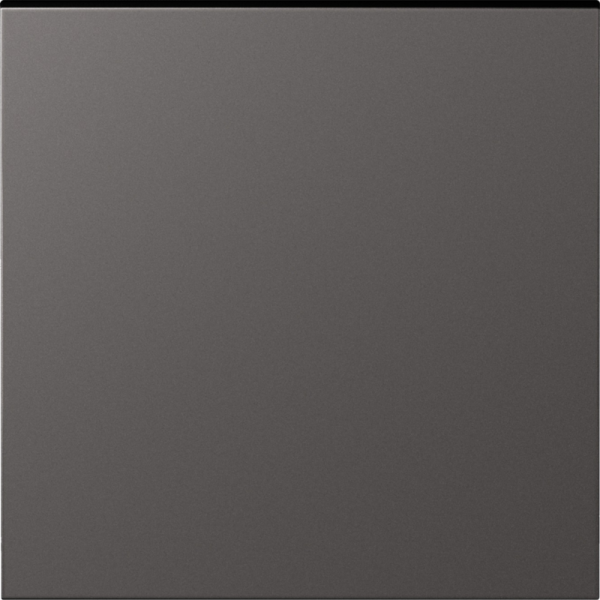 Клавиша 1-я,  матовый титан,  серия S08