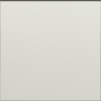 Клавиша 1-я,  шампань,  серия S08