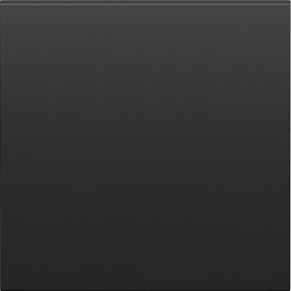 Клавиша 1-я,  черный графит,  серия S08