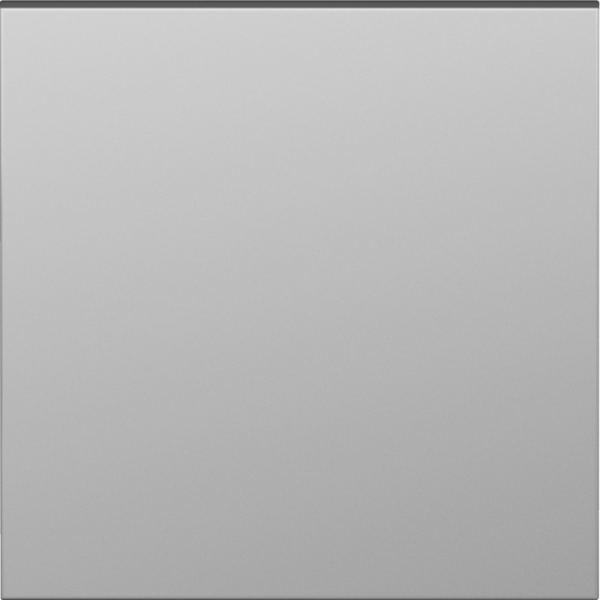 Клавиша для перекрёстного переключателя 1-я,  сталь,  серия S08