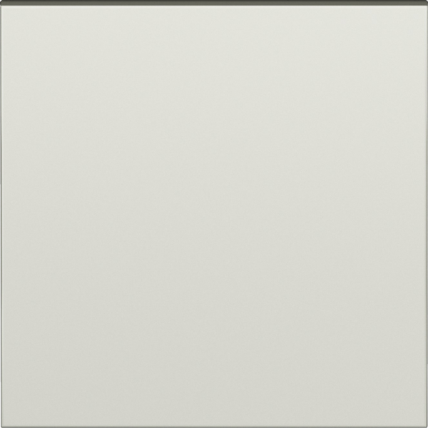 Клавиша для перекрёстного переключателя 1-я,  шампань,  серия S08