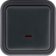 Переключатель 1-клавишный накладной с подсветкой,  цвет антрацит,  IP55,  серия W55