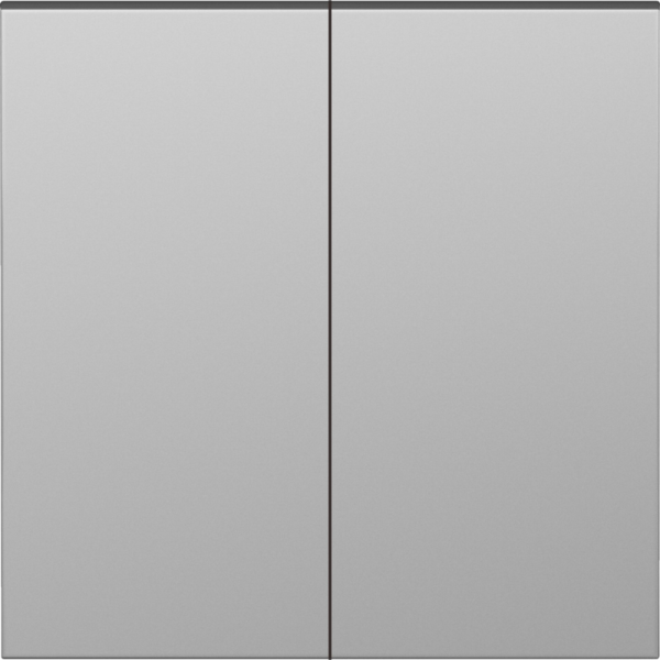 Клавиша для перекрёстного переключателя 2-я,  сталь,  серия S08