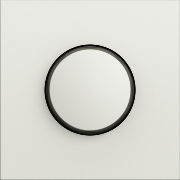 Накладка для светорегулятора поворотного,  шампань,  серия S08