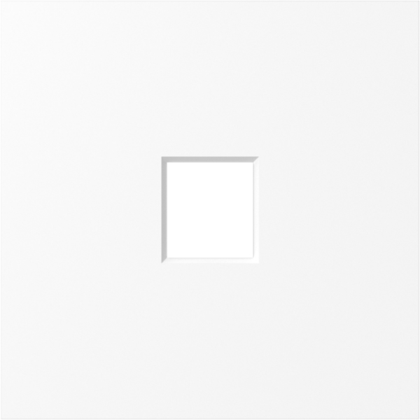 Накладка 1-я для розеток RJ45, TV, SAT,  глянцевый белый,  серия S08