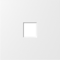 Накладка 1-я для розеток RJ45, TV, SAT,  матовый белый,  серия S08