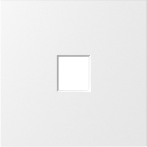 Накладка 1-я для розеток RJ45, TV, SAT,  матовый белый,  серия S08