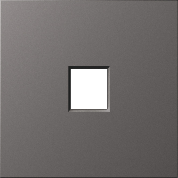 Накладка 1-я для розеток RJ45, TV, SAT,  матовый титан,  серия S08