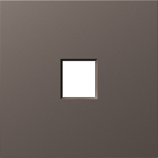 Накладка 1-я для розеток RJ45, TV, SAT,  мокко,  серия S08