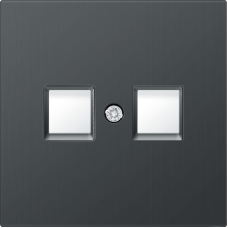 Накладка для розетки RJ45,  2-я,  вороненая сталь,  серия R98 METAL