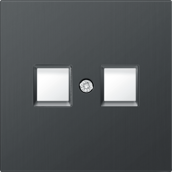 Накладка для розетки RJ45,  2-я,  вороненая сталь,  серия R98 METAL