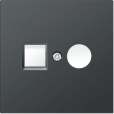 Накладка для розеток RJ45+SAT,  2-я,  вороненая сталь,  серия R98 METAL