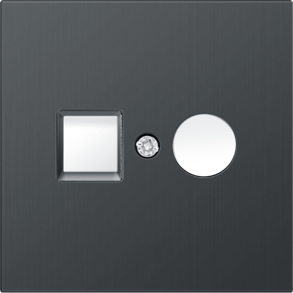 Накладка для розеток RJ45+SAT,  2-я,  вороненая сталь,  серия R98 METAL