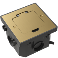 Лючок Surface 2 мод. (1 мод. 45х45 мм.),  золото,  IP44,  (с уст. набором)