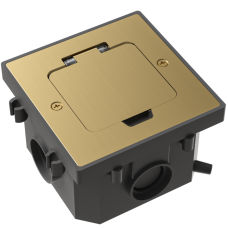 Лючок Surface 2 мод. (1 мод. 45х45 мм.),  золото,  IP44,  (с уст. набором)