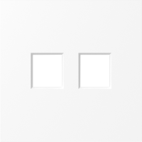 Накладка 2-я для розеток RJ45, TV, SAT,  глянцевый белый,  серия S08