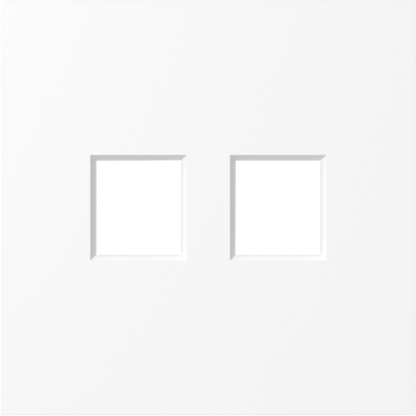 Накладка 2-я для розеток RJ45, TV, SAT,  глянцевый белый,  серия S08