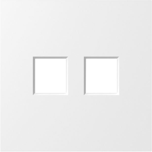 Накладка 2-я для розеток RJ45, TV, SAT,  матовый белый,  серия S08