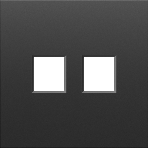 Накладка 2-я для розеток RJ45, TV, SAT,  черный графит,  серия S08