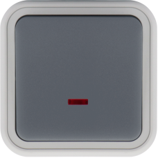 Переключатель 1-клавишный накладной с подсветкой,  цвет серый,  IP55,  серия W55