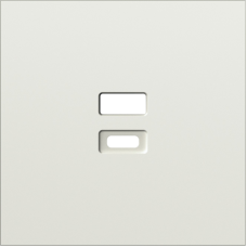 Накладка для розеток USB,  шампань,  серия S08