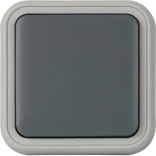 Рамка с клавишей для скрытой установки переключателя одиночный,  цвет серый,  IP55,  серия W55