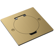 Лючок Surface 2 мод. (1 мод. 45х45 мм.),  круглая крышка,  зотоло,  IP44