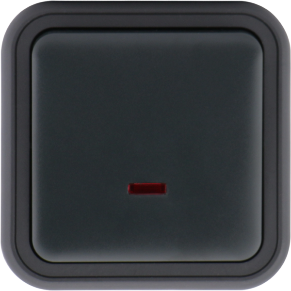 Выключатель звонкового типа 1-клавишный накладной,  с подсветкой,  цвет антрацит,  IP55,  серия W55