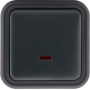 Выключатель звонкового типа 1-клавишный накладной,  с подсветкой,  цвет антрацит,  IP55,  серия W55