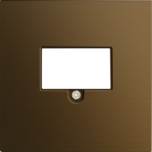 Накладка стандарта TAE для розеток USB,  HDMI,  аудио,  латунь,  серия R98 METAL