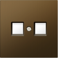 Накладка для розетки RJ45,  2-я,  латунь,  серия R98 METAL