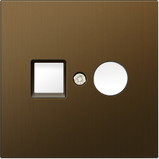 Накладка для розеток RJ45+SAT,  2-я,  латунь,  серия R98 METAL