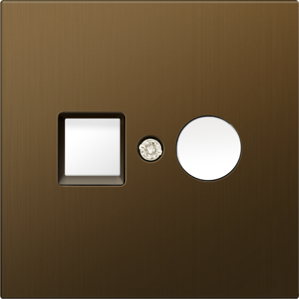 Накладка для розеток RJ45+SAT,  2-я,  латунь,  серия R98 METAL