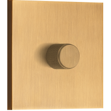 Светорегулятор поворотный Triac,  LED 100 Вт (акт.нагрузка-макс. 300Вт),  латунь,  серия N96