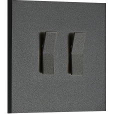 Переключатель на 2 тумблера,  клавиша Angle,  10AX 250V,  черный,  серия N96