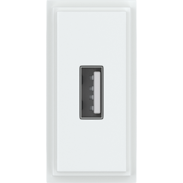 Зарядное устройство USB Стандарт А 5V 2100мА 1 модуль,  белый