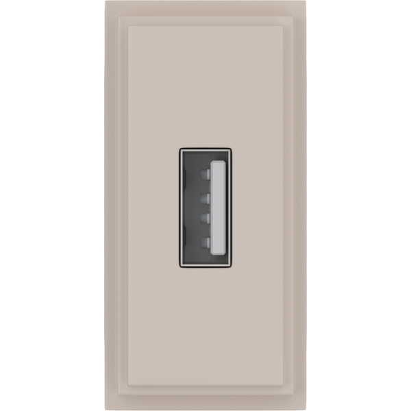 Зарядное устройство USB Стандарт А 5V 2100мА 1 модуль,  песочный