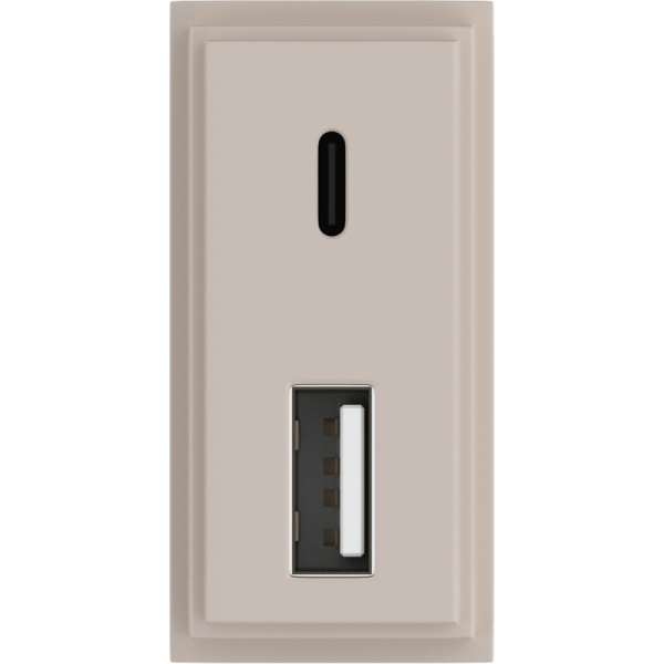 Зарядное устройство USB Стандарт A-С 5V 3100мА 1 модуль,  песочный