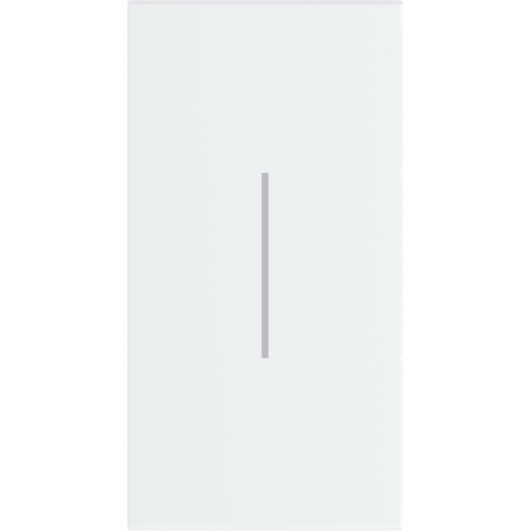 Лицевая панель для выкл. и переключателей 2 модуля,  белый