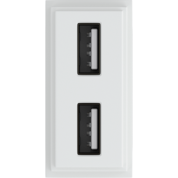 Зарядное устройство USB Стандарты А-А 5V 2100мА 1 модуль,  белый