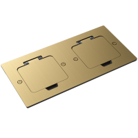 Лючок Surface 4 мод. (2 мод. 45х45 мм.),  золото,  IP44